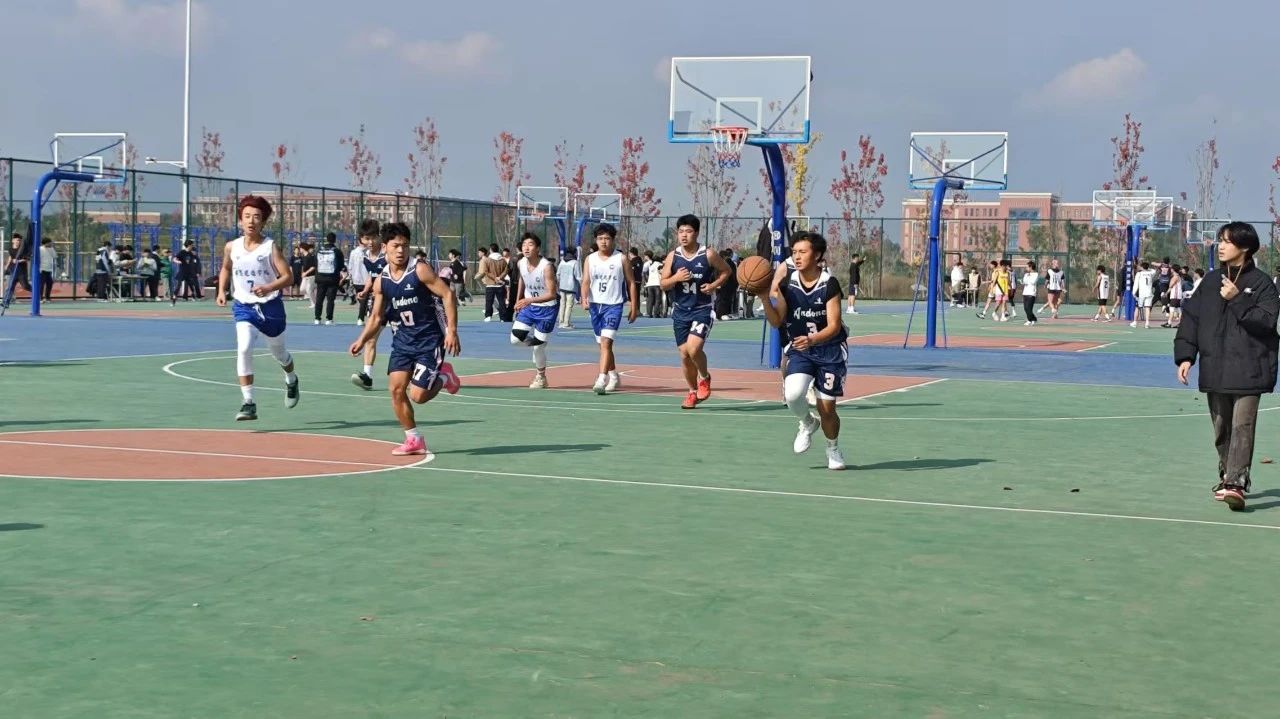 3-241203100S0H4.jpg